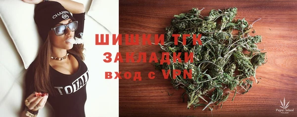 молекула духа Алексин