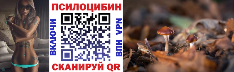 блэк спрут ссылки  продажа наркотиков  Заинск  Псилоцибиновые грибы GOLDEN TEACHER 