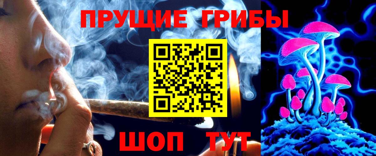 Галлюциногенные грибы MAGIC MUSHROOMS  Псилоцибиновые грибы ЛСД  Заинск  Вход с VPN 
